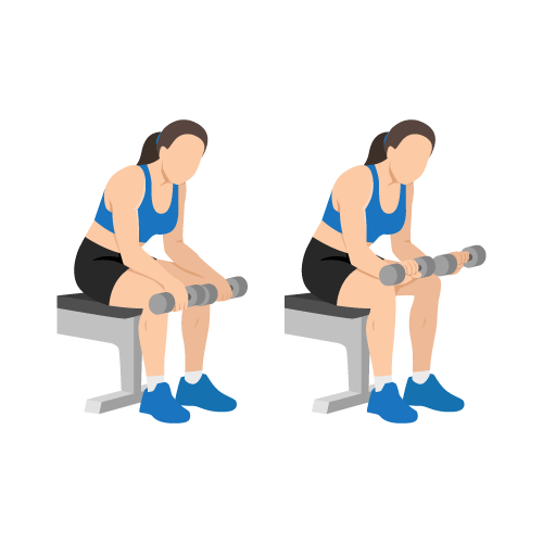 demo of exercise