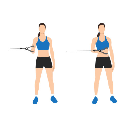 resistance band rotation