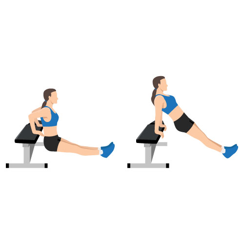 tricep dip demo